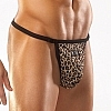  -  Z5316leopard L CQ