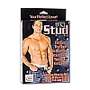 - Mr. STUD 1923-01 BX SE
