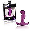   Nexus G-Rider Purple