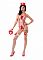 Костюм Врача-сексолога (S/M) 02910SM