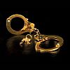   Fetish Fantasy Gold Metal Cuffs