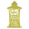 -    Wet Fun Flavors Tropical Fruit Explosion     - 10 .