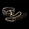 Ошейник с поводком Collar Leash Ошейник с поводком Collar Leash