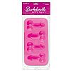    Bachelorette Party Favors