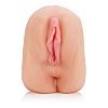      Alexis Amore