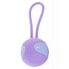    DESIRE KEGEL BALL 