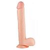        FLESHXL - 28 .
