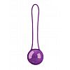    Pleasure Ball Deluxe