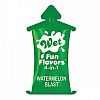   Fun Flavors 4-in-1 Watermelon Blast    - 10 .
