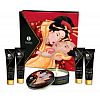   GEISHA