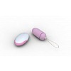  Remote Control Egg     8 