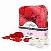   Lovers Premium Bed of Roses Red
