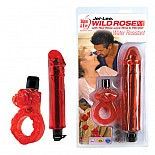 <strong>Эротический набор цвета дикой розы JEL-LEE 8811-6 CD TS</strong> <br />
Яркий эротический набор насыщенного алого цвета. <div class="charTableblock"> </div> Эротический набор цвета дикой розы JEL-LEE 8811-6 CD TS 
Яркий эротический набор насыщенного алого цвета.