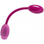    Flex-a-Pleasure 
  Flex-a-Pleasure -      .