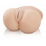  + Lil` Fuck Her 
      ,   –  !  –             ,  .