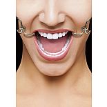 <strong>Кляп Hook Black BlackSH-OU106BLK</strong> <br />
Расширяющий кляп в форме двух крюков с резиновыми наконечниками для безопасного использования. <div class="charTableblock"><div><span>Тип</span>: другой</div><div><span>Цвет</span>: черный</div></div> Кляп Hook Black BlackSH-OU106BLK 
Расширяющий кляп в форме двух крюков с резиновыми наконечниками для безопасного использования.