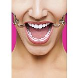 <strong>Кляп Hook Pink SH-OU106PNK</strong> <br />
Расширяющий кляп в форме двух крюков с резиновыми наконечниками для безопасного использования. <div class="charTableblock"><div><span>Тип</span>: другой</div><div><span>Цвет</span>: красный, розовый</div></div> Кляп Hook Pink SH-OU106PNK 
Расширяющий кляп в форме двух крюков с резиновыми наконечниками для безопасного использования.