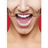 <strong>Кляп OUCH! Hook Red SH-OU106RED</strong> <br />
Расширяющий кляп в форме двух крюков с резиновыми наконечниками для безопасного использования. <div class="charTableblock"><div><span>Тип</span>: другой</div><div><span>Цвет</span>: красный, розовый</div></div> Кляп OUCH! Hook Red SH-OU106RED 
Расширяющий кляп в форме двух крюков с резиновыми наконечниками для безопасного использования.