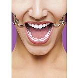 <strong>Кляп OUCH! HookPurple SH-OU106PUR</strong> <br />
Расширяющий кляп в форме двух крюков с резиновыми наконечниками для безопасного использования. <div class="charTableblock"><div><span>Тип</span>: другой</div><div><span>Цвет</span>: другой</div></div> Кляп OUCH! HookPurple SH-OU106PUR 
Расширяющий кляп в форме двух крюков с резиновыми наконечниками для безопасного использования.