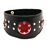 <strong>Ошейник кожаный с клепками 55006ars</strong> <br />
 <div class="charTableblock"><div><span>Материал</span>: кожзам</div><div><span>Цвет</span>: черный</div></div> Ошейник кожаный с клепками 55006ars