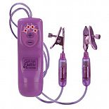 <strong>Вибростимулятор для сосков Nipple Teasers</strong> <br />
Вибростимулятор для сосков пурпурного цвета. <div class="charTableblock"> </div> Вибростимулятор для сосков Nipple Teasers 
Вибростимулятор для сосков пурпурного цвета.