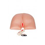 <strong>Ультра-реалистичные вагина и анус MAGIC FLESH VA GINA & ANUS с вибрацией телесная</strong> <br />
Ультра реалистичная вагина и анус MAGIC FLESH VA GINA & ANUS  создана для полного удовлетворения сильной половины человечества. <div class="charTableblock"> </div> Ультра-реалистичные вагина и анус MAGIC FLESH VA GINA & ANUS с вибрацией телесная 
Ультра реалистичная вагина и анус MAGIC FLESH VA GINA & ANUS  создана для полного удовлетворения сильной половины человечества.