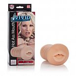 <strong>Мастурбатор-ротик Vivid Raw Hot Ass Mouth </strong> <br />
Мастурбатор ротик Vivid Raw Hot Ass Mouth с подогревом. <div class="charTableblock"><div><span>Материал</span>: TPE / TPR</div></div> Мастурбатор-ротик Vivid Raw Hot Ass Mouth  
Мастурбатор ротик Vivid Raw Hot Ass Mouth с подогревом.