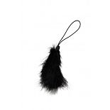 ������� � �������  SCANDAL BLACK FEATHER GWP 
