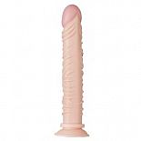       FLESHXL - 28 . 
 .