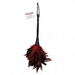  -  FRISKY FEATHER DUSTER  
    ,      .