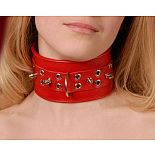 <strong>Ошейник кожаный красный  шириной 65мм с шипами длиной 12мм 3105-2</strong> <br />
Изготовлен из натуральной кожи с велюровой подкладкой. <div class="charTableblock"><div><span>Материал</span>: кожа</div><div><span>Цвет</span>: красный, розовый</div></div> Ошейник кожаный красный  шириной 65мм с шипами длиной 12мм 3105-2 
Изготовлен из натуральной кожи с велюровой подкладкой.