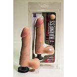 <strong>Насадка на Harness с коннектором Medium-plus Size в блистере 861702ru</strong> <br />
<div class="charTableblock"><div><span>Длина, см</span>: 16</div><div><span>Диаметр, см</span>: 4</div><div><span>Длина, см</span>: 13-16</div><div><span>Диаметр, см</span>: 4</div><div><span>Материал</span>: киберкожа</div><div><span>Цвет</span>: телесный</div><div><span>Особенности</span>: vac-u-lock; насадка; harness</div></div> Насадка на Harness с коннектором Medium-plus Size в блистере 861702ru