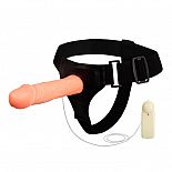 <strong>Страпон BW-010025</strong> <br />
<div class="charTableblock"><div><span>Длина, см</span>: 18</div><div><span>Диаметр, см</span>: 4</div><div><span>Длина, см</span>: 17-20</div><div><span>Диаметр, см</span>: 4</div><div><span>Материал</span>: TPE / TPR</div><div><span>Цвет</span>: телесный</div><div><span>Особенности</span>: комплект; с вибрацией; harness</div></div> Страпон BW-010025