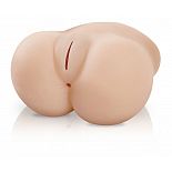 <strong>Вагина и анус Lil Fuck Her</strong> <br />
Чего вам хочется сегодня? Чтобы тяжелая попка вашей подружки дико скакала на вас сверху? А, может, вы хотите овладеть ею сзади анально? Выбор только за вами! Мастурбатор Lil  Fuck Her снабжен двумя отверстиями для проникновения   анальным и вагинальным. <div class="charTableblock"> </div> Вагина и анус Lil Fuck Her 
Чего вам хочется сегодня? Чтобы тяжелая попка вашей подружки дико скакала на вас сверху? А, может, вы хотите овладеть ею сзади анально? Выбор только за вами! Мастурбатор Lil  Fuck Her снабжен двумя отверстиями для проникновения   анальным и вагинальным.