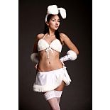 ������ ����������� ����� 
���, ����, ��������, ������ � ������