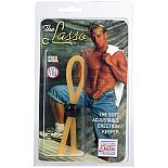   LASSO 
   LASSO          .
