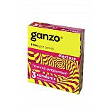 Ganzo Extase  3 
 Ganzo Extase  3    ,  - ,      .