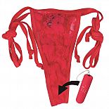   Remote Control Panty Vibe  
   ,   .