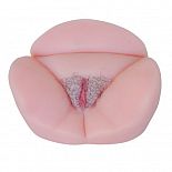 <strong>Вагина Пышечка </strong> <br />
Вагина пышечка  – это замечательная секс-игрушка для любителей роскошных женских форм. <div class="charTableblock"> </div> Вагина Пышечка  
Вагина пышечка  – это замечательная секс-игрушка для любителей роскошных женских форм.