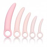 <strong>Набор из 5 фаллоимитаторов разного размера Sili Dilator 5 P</strong> <br />
Набор вагинальных тренажеров для восстановления интенсивности стенок влагалища. <div class="charTableblock"> </div> Набор из 5 фаллоимитаторов разного размера Sili Dilator 5 P
Набор вагинальных тренажеров для восстановления интенсивности стенок влагалища.