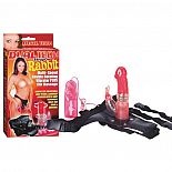 <strong>Страпон с насадкой хай-тек Dual Tech StrapOn Rabbit - Seven Creations </strong> <br />
Страпон с вибромассажером. <div class="charTableblock"><div><span>Длина, см</span>: 18</div><div><span>Диаметр, см</span>: 3</div><div><span>Длина, см</span>: 17-20</div><div><span>Диаметр, см</span>: 3</div><div><span>Материал</span>: гель</div><div><span>Цвет</span>: красный/розовый</div><div><span>Особенности</span>: комплект; с вибрацией; с дополнительной стимуляцией</div></div> Страпон с насадкой хай-тек Dual Tech StrapOn Rabbit - Seven Creations  
Страпон с вибромассажером.