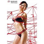 <strong>Комплект белья Masuyo с верёвками для связывания</strong> <br />
Комплект белья Masuyo с верёвками для связывания. <div class="charTableblock"><div><span>Цвет</span>: черный</div><div><span>Производитель</span>: Demoniq, Польша</div></div> Комплект белья Masuyo с верёвками для связывания 
Комплект белья Masuyo с верёвками для связывания.