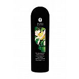    ,  , Lotus Noir - 60 . 
   ,       .