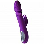   Flamingo     - 23,5 . 
         .