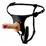        
 Harness -       .    15,5 ,  4,5 .    13 ,  3,5 .                 ,        - .     .         .        Harness.