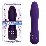    PRINCESS  EN-AD-0002-02-2 
               .