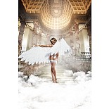 Back in Heaven     OS (42-46) 
         .