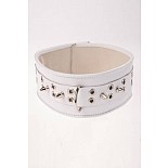 <strong>Ошейник с шипами широкий белый</strong> <br />
Ошейник <div class="charTableblock"><div><span>Материал</span>: кожа</div><div><span>Цвет</span>: белый</div></div> Ошейник с шипами широкий белый 
Ошейник