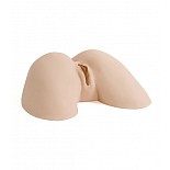 <strong>Вагина и анус KOBE TAI</strong> <br />
Производитель: Doc Johnson, Америка. <div class="charTableblock"> </div> Вагина и анус KOBE TAI 
Производитель: Doc Johnson, Америка.