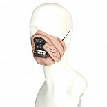 ��������� ����� ������ DOG MASK LFM-101 
����� �� ������������ ������� � ���� �������� �����.